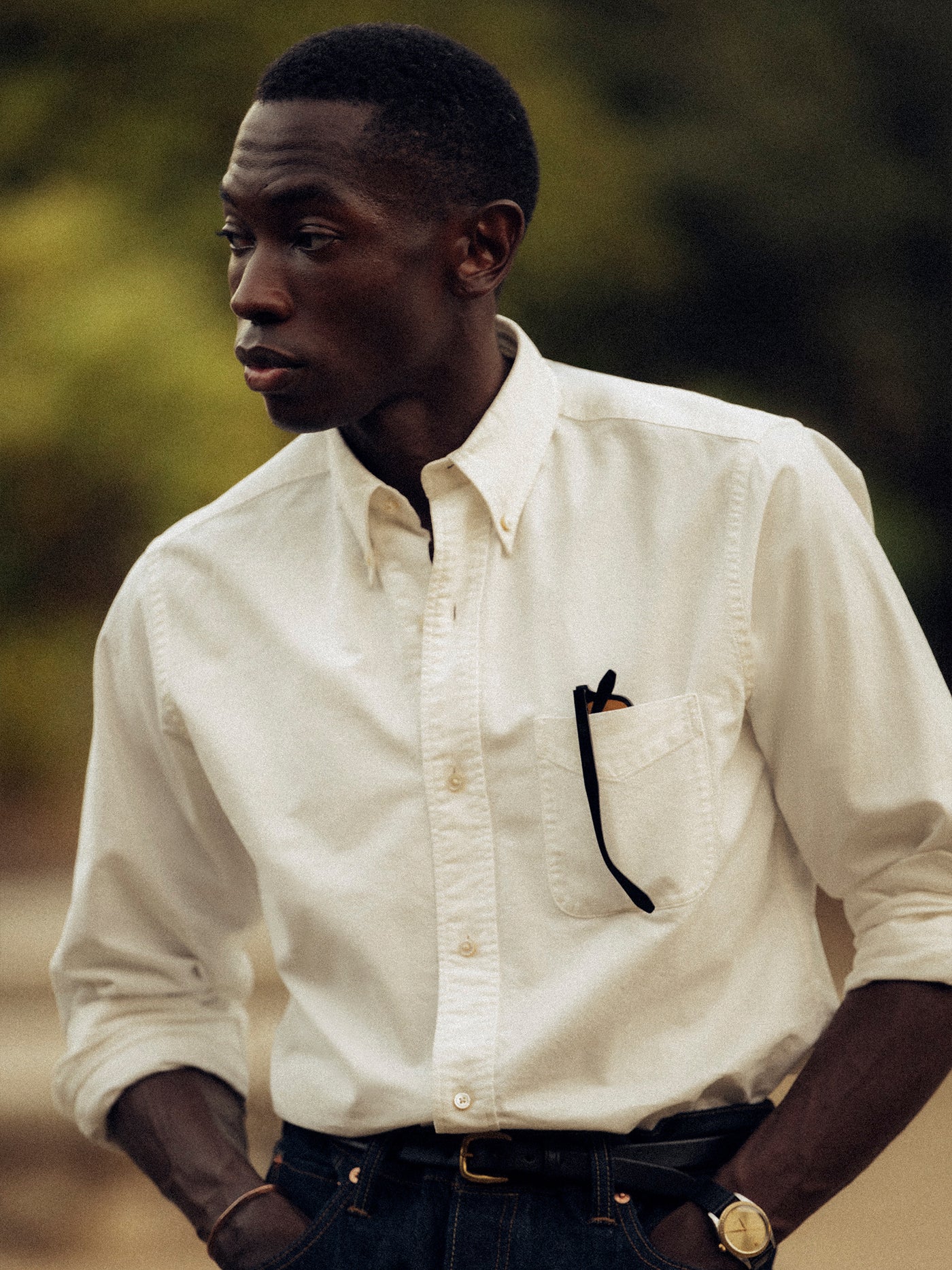Shop Shirts